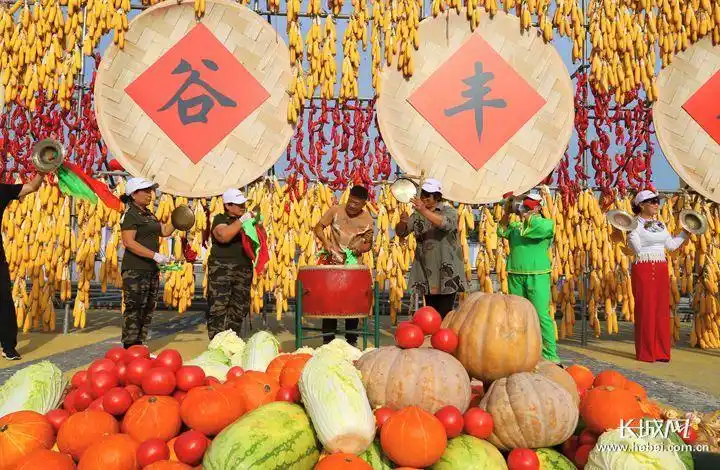 五谷丰登庆丰收.王栋 摄