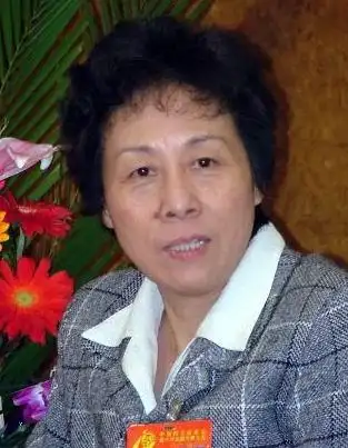 严隽琪:从女技术员到民进中央新主席