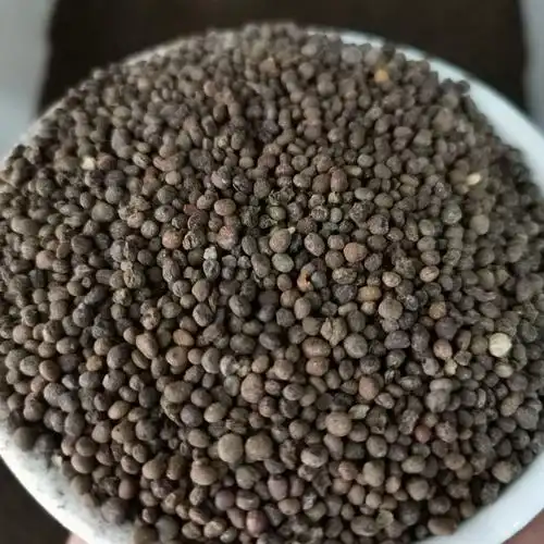 凤仙花种子阳台盆栽指甲花花籽景观绿化中国凤仙花卉种子货到付款