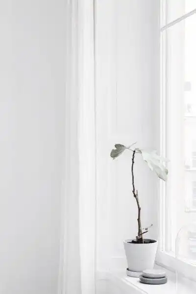 白色简约人物 - 堆糖,美图壁纸兴趣社区