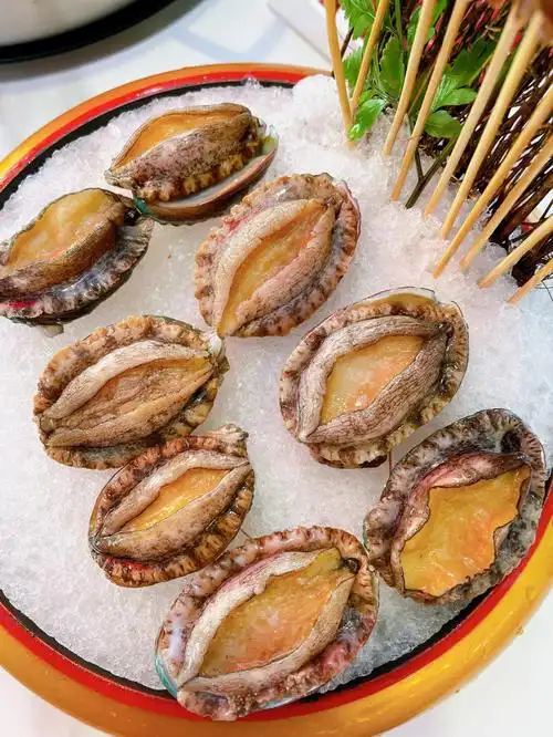 鲍鱼做封面[糖果][糖果]当时买的是168的餐券,价格是划算的,种类也