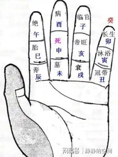 十天干生旺死绝速推掌诀图解及禄刃详解 - 十二地支对应的数 - 实验室