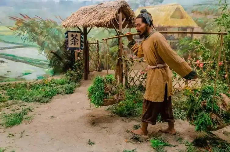 古代一妻多妾为何却没有出现大量光棍真实原因很少有人知道