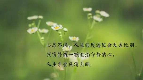 关于美好人生的心情说说治愈句子图片