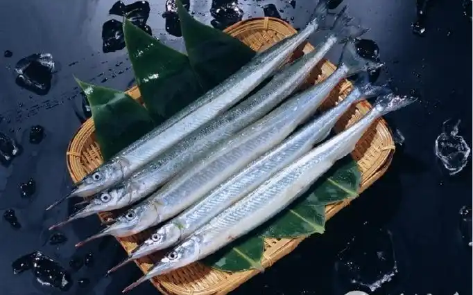 冷冻 马步鱼 针鱼 20片