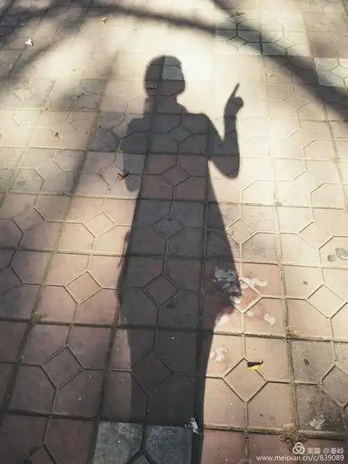 今天的天气格外晴朗,相约去看奇石展览,拍照的时候发现了自己的影子