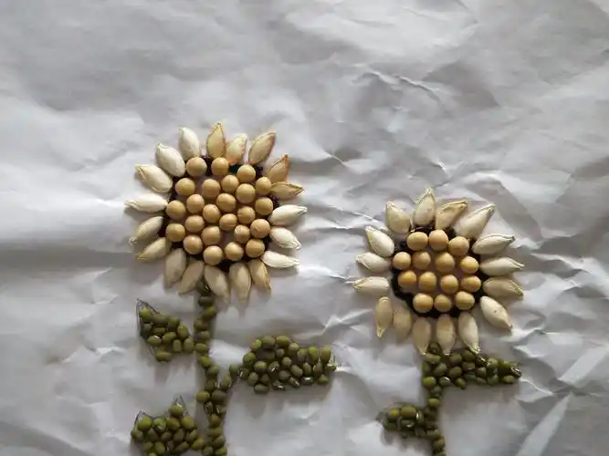 小种子大创意——暨靳庄小学暑期特色作业(一)创意种子画