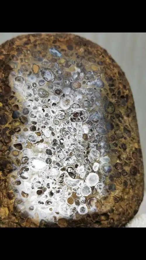 金属感超强的五彩球粒陨石