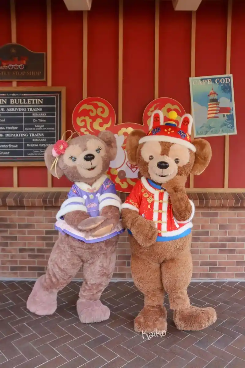 两只熊熊99.#上海迪士尼 #达菲 #雪莉玫 - 抖音