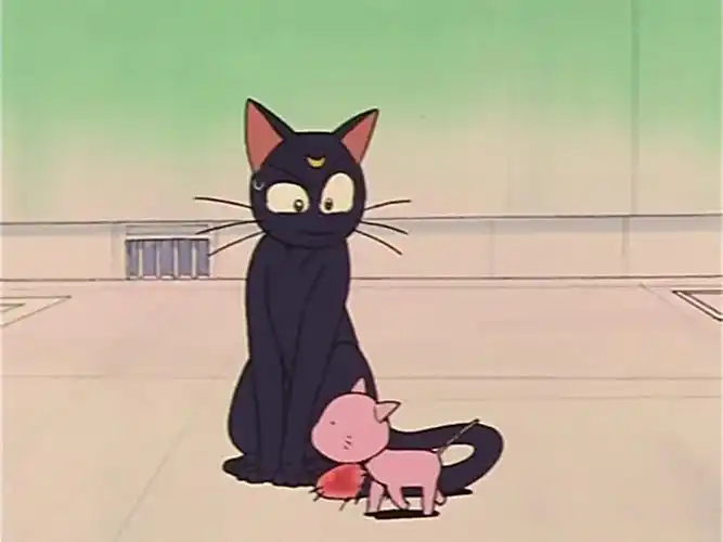 【美少女战士】露娜