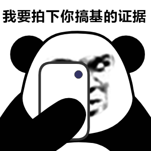 我要拍下你搞基的证据(熊猫头表情包)_我要_拍下_熊猫_证据表情