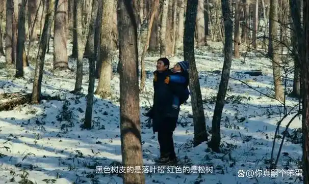 这岛国"顶流",一回归就让网友吵翻