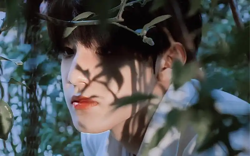 【张泽禹】像季风一样迅疾,你突然降临