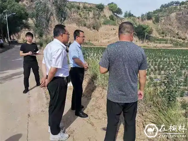 子洲县县长李超鲲下乡慰问老党员和村支书