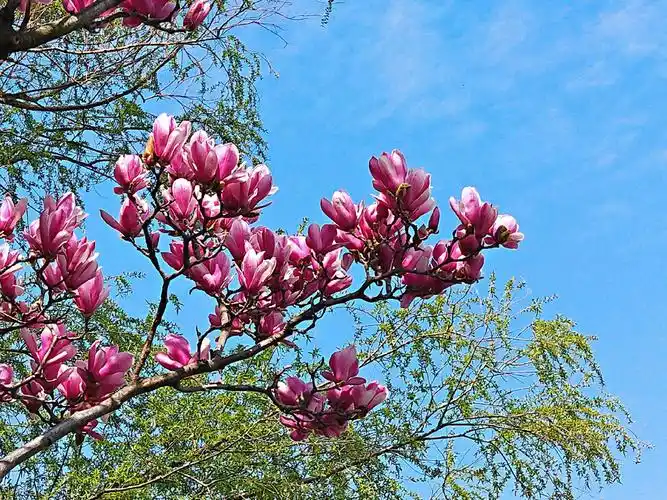 享受自然的风景 感受春天的色彩