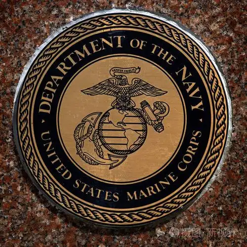 美国军事标志为美国服务海军海军陆战队空中