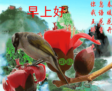 2018最新早晨动态表情大全 最新漂亮早上好图片动态