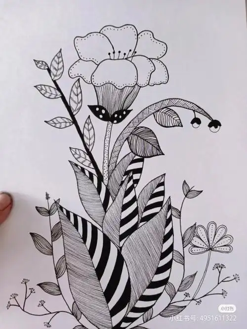 植物线条画