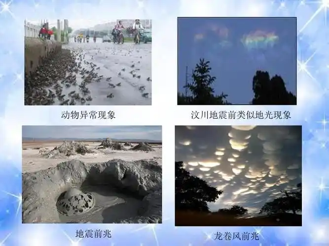 与社会《生命的突围ppt课件》 动物异常现象 汶川地震前类似地光现象