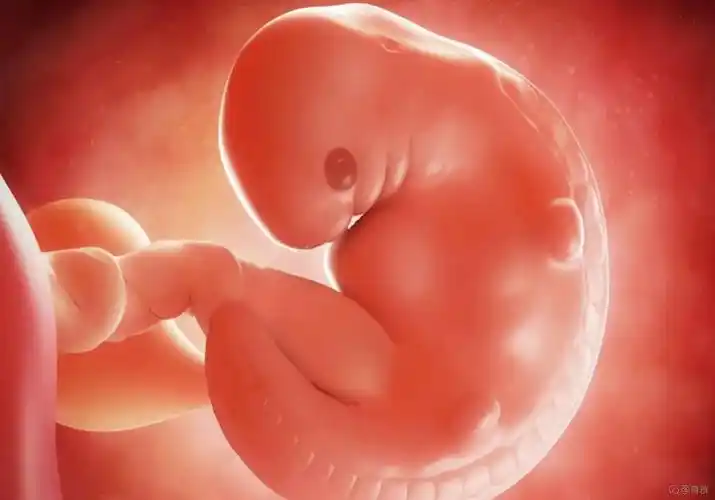 孕囊形状
