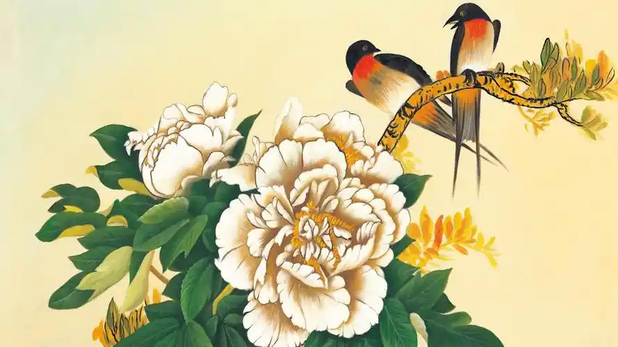 工笔画牡丹花鸟,图片大全,高清,图库-回车桌面
