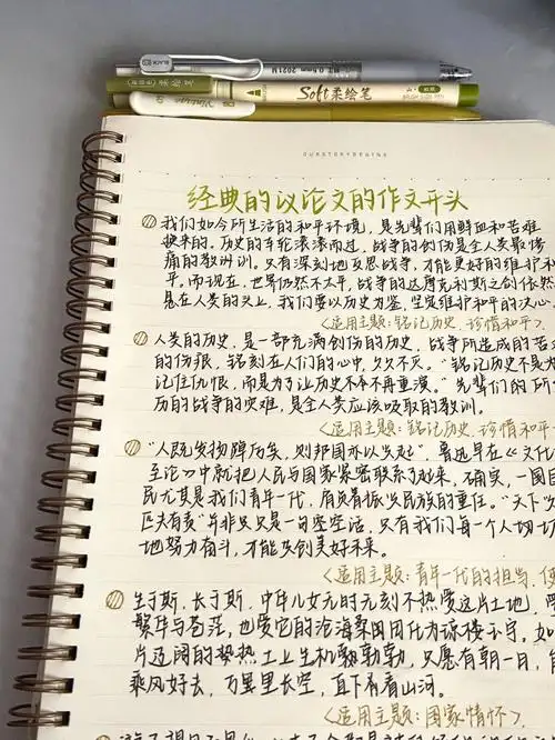 作文素材经典议论文作文开头