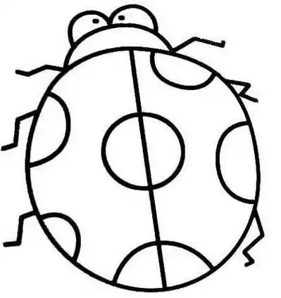 简笔画七星瓢虫