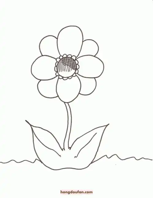 8张春天的花朵涂色图片简笔画郁金香小雏菊简笔画