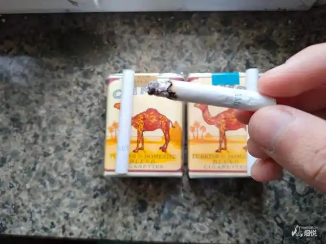 美免美税无嘴骆驼