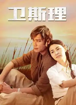卫斯理海报封面图