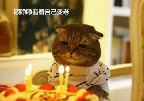 含蓄幽默表达自己生日适合祝自己生日快乐的句子