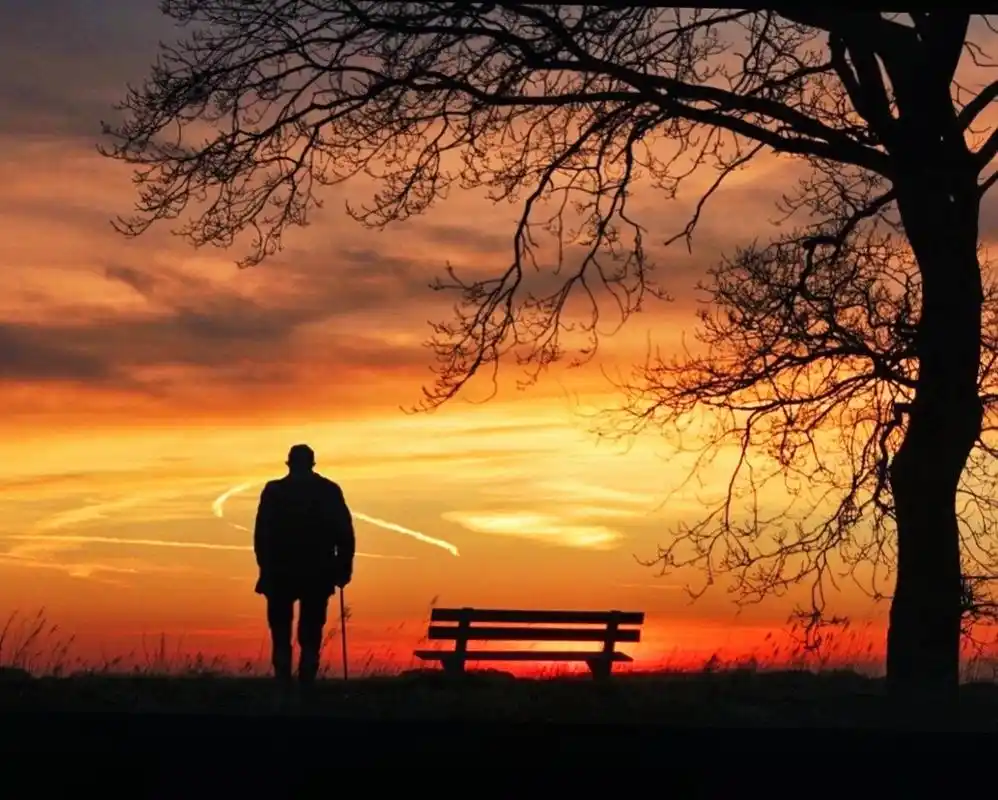 他的背影夕阳红