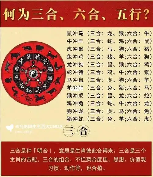 属相三合六合