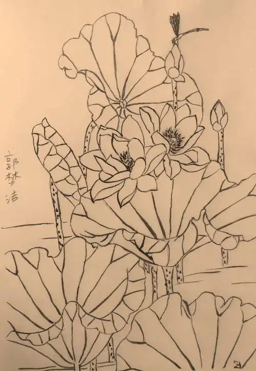 99大眼睛〗中国画61白描花鸟部分作品展 - 美篇