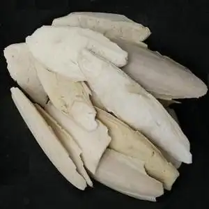 500克 墨鱼骨 海螵蛸 乌贼骨头.乌贼骨