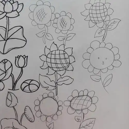 花卉简笔画