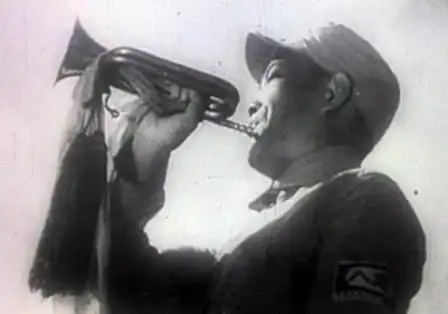 美军回忆朝鲜战争:终生难忘中国军队冲锋时的军号声 - 月 月 - 阳光