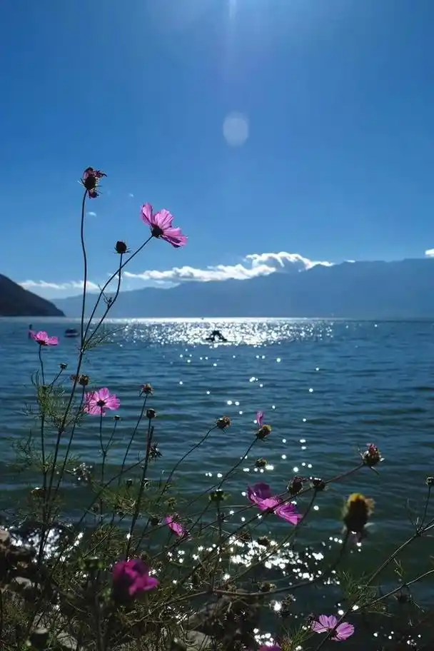 百日破晓韩冰是谁 - 抖音