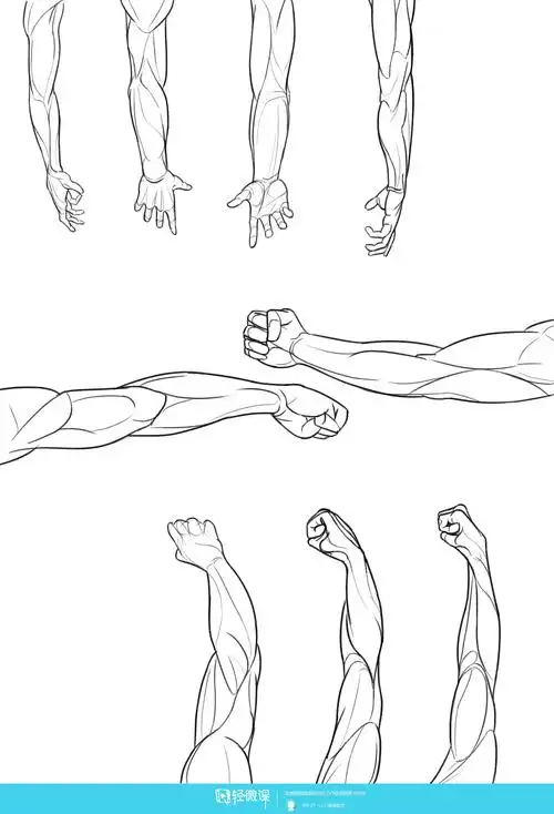 写生手臂—人体体块手臂肌肉的练习