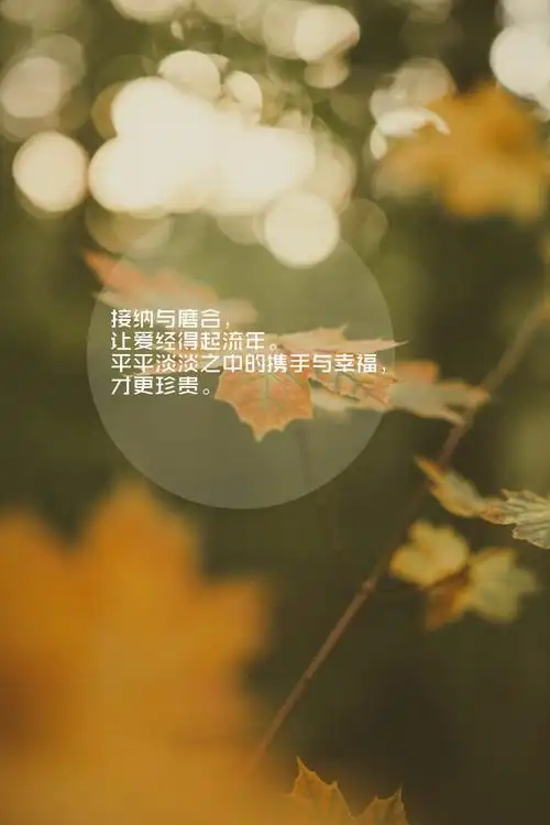 唯美文字伤感图片,高清图片