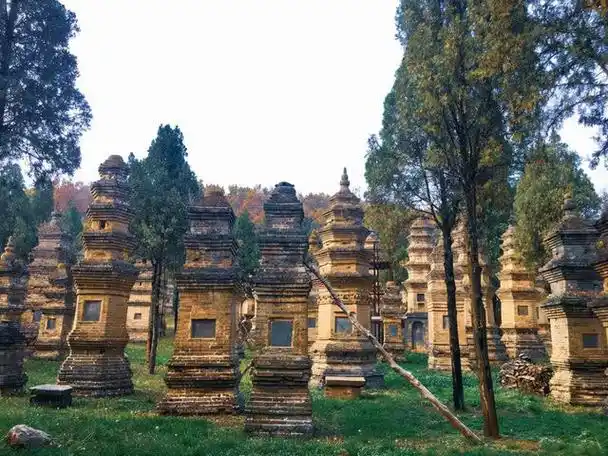 少林寺简介,少林寺在哪个市(都觉得少林寺很"坑")