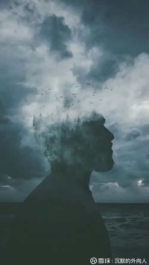 沉默的外向人孤独的投资者