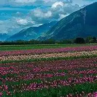 风景人物头像微信_微信头像图片大全