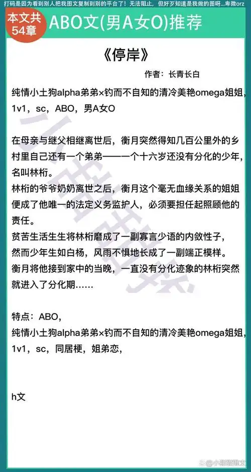 7本abo文推荐:男a女o,bg向《蔷薇迷宫》《逃离那个偏执alpha》