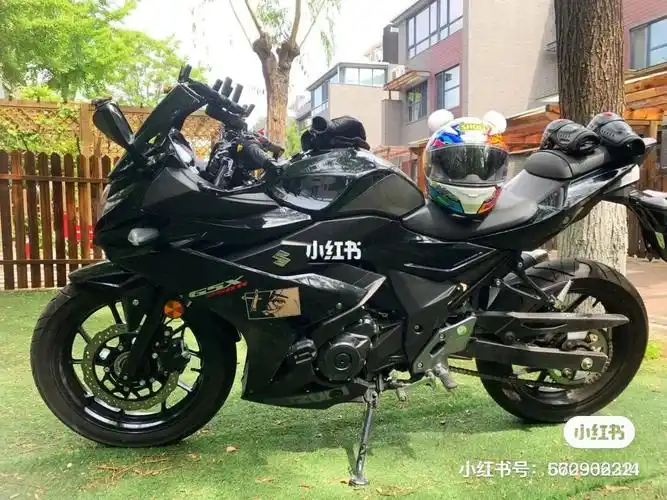 铃木gsx250  想问问大家已经降坐高的 改完减震或者狗骨头的 车撑还