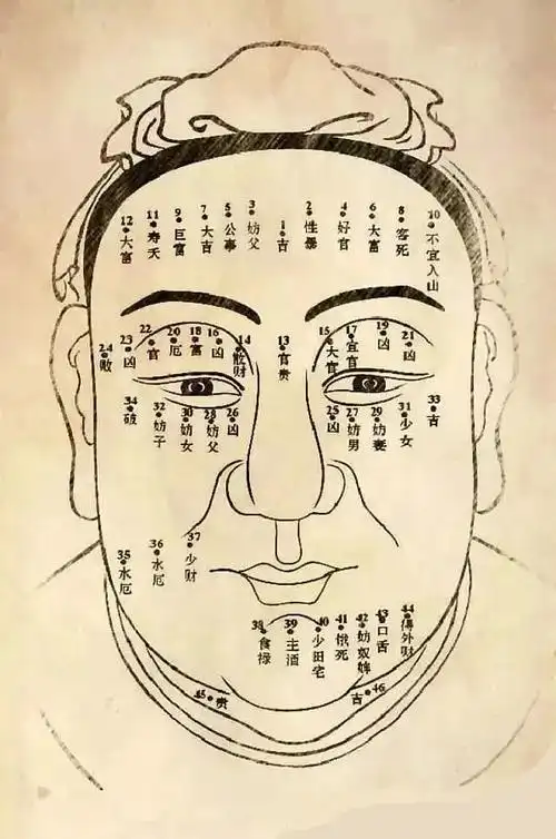 阴骘纹到底是什么