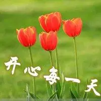 开心每一天的带字图片 开开心心过好每一天图片_微信头像图片大全