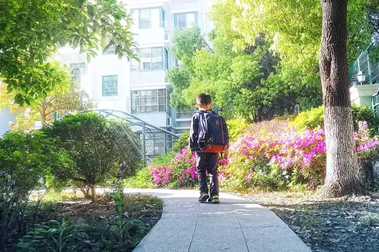早晨送儿子上学,他走在前面,看见他背着沉重的书包沐浴在阳光下的背影