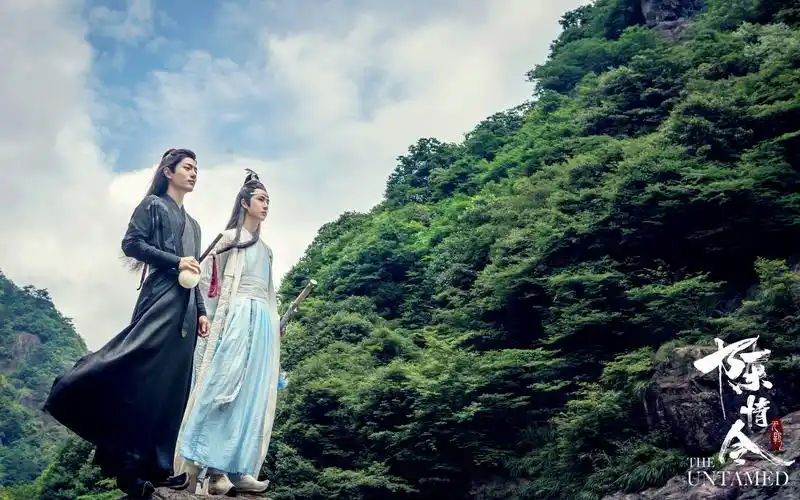 【陈情令混剪】忘羡双人剧情向bgm无羁#肖战# #王一博