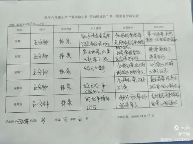 劳动最光荣——四年五班家务劳动纪实